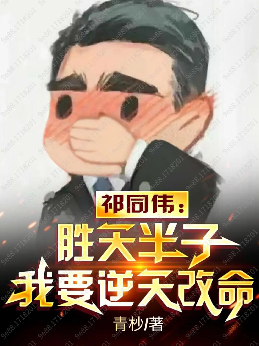 超品风水师下一部叫什么书名